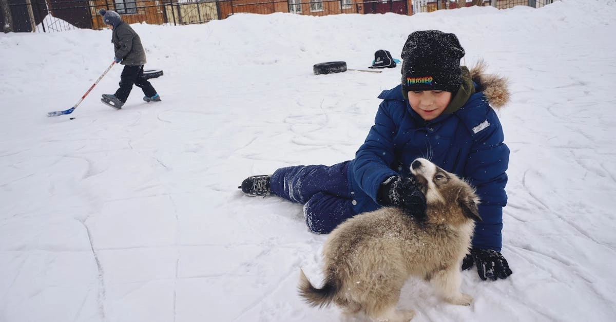 The Dog House слот игра для фрилансеров и удаленных работников